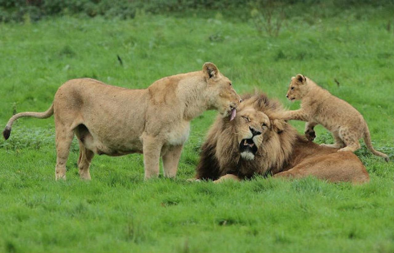 La Brie à 15mn de Disneyland et Village Nature Neufmoutiers-en-Brie Esterno foto